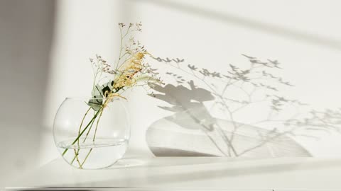 Title: Artem Podrez