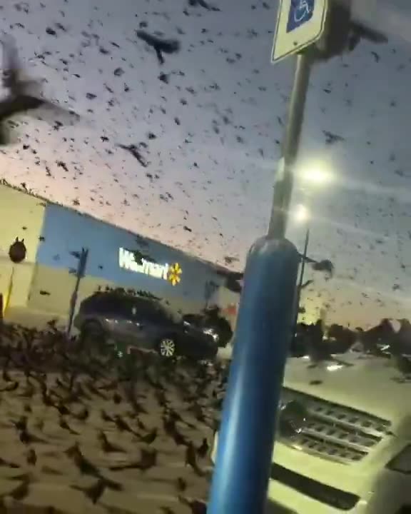 🚨🚨🚨 IT HAS STARTED !!! 🚨🚨🚨