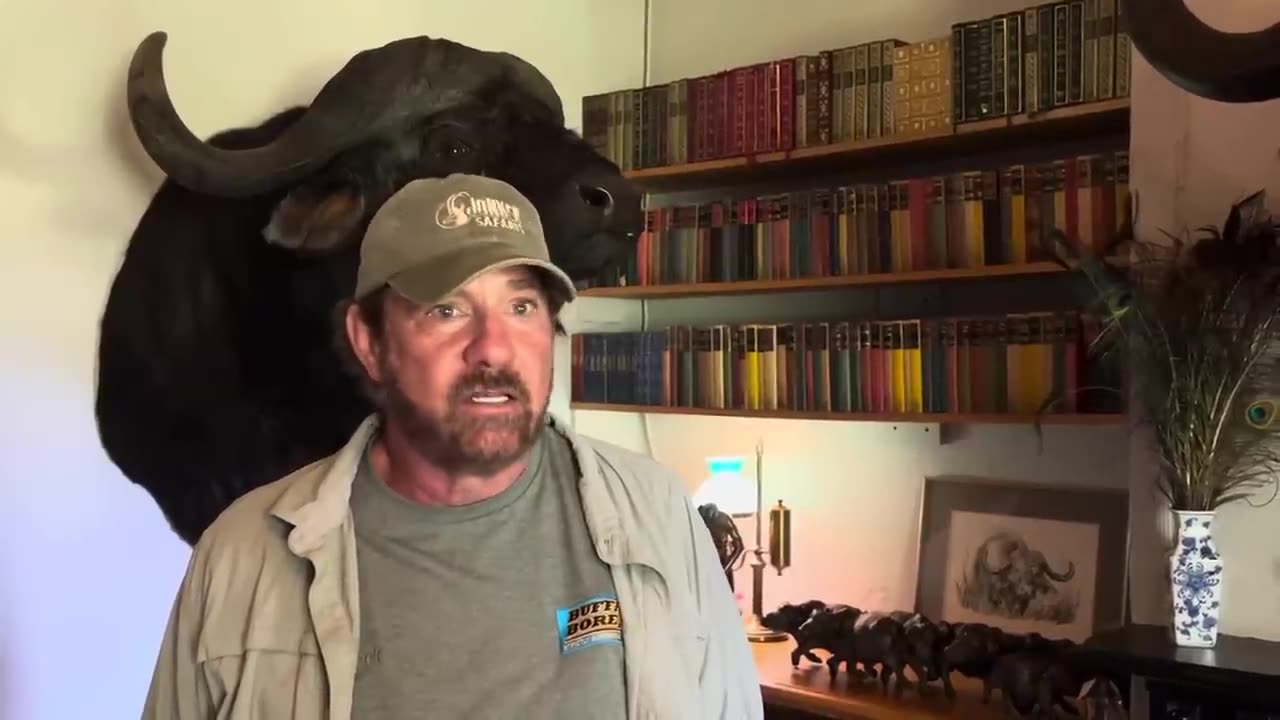 416 Remington and 500 Jeffery story about a thrilling buffalo hunt