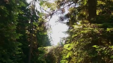 Registered Massage Therapy | Relax & Recover at Golden Maple Physiotherapy Maple Ridge