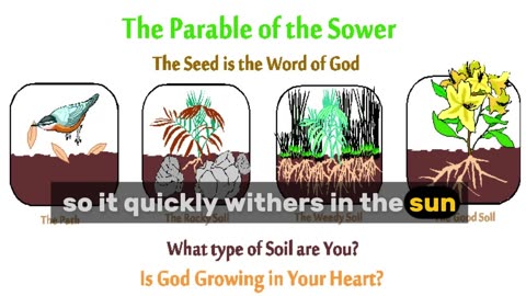 Saturday Gospel & Reflection: Parable of the Sower