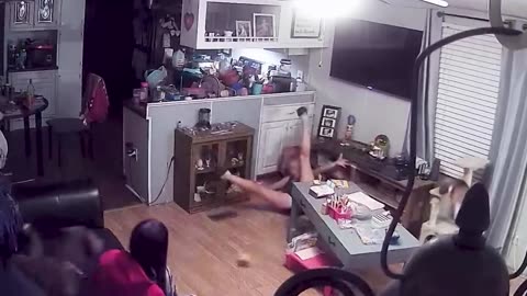 Best Pet Pranks Ever 57