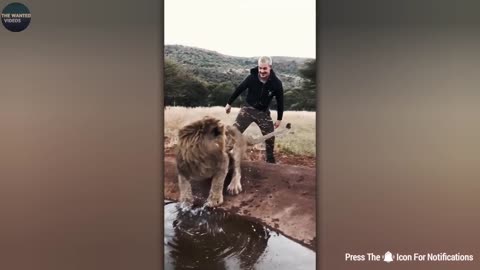 Funny Animals video