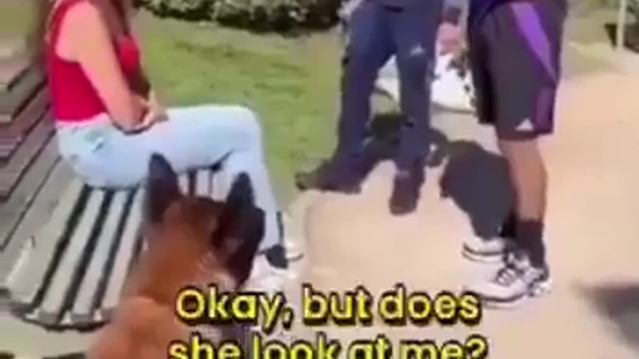 Foreigners harassing girl gets taught their place