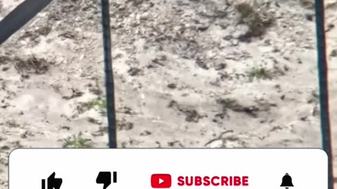 Long Range Shooting in Slow Motion - Bullet Trace 300-615 Yards