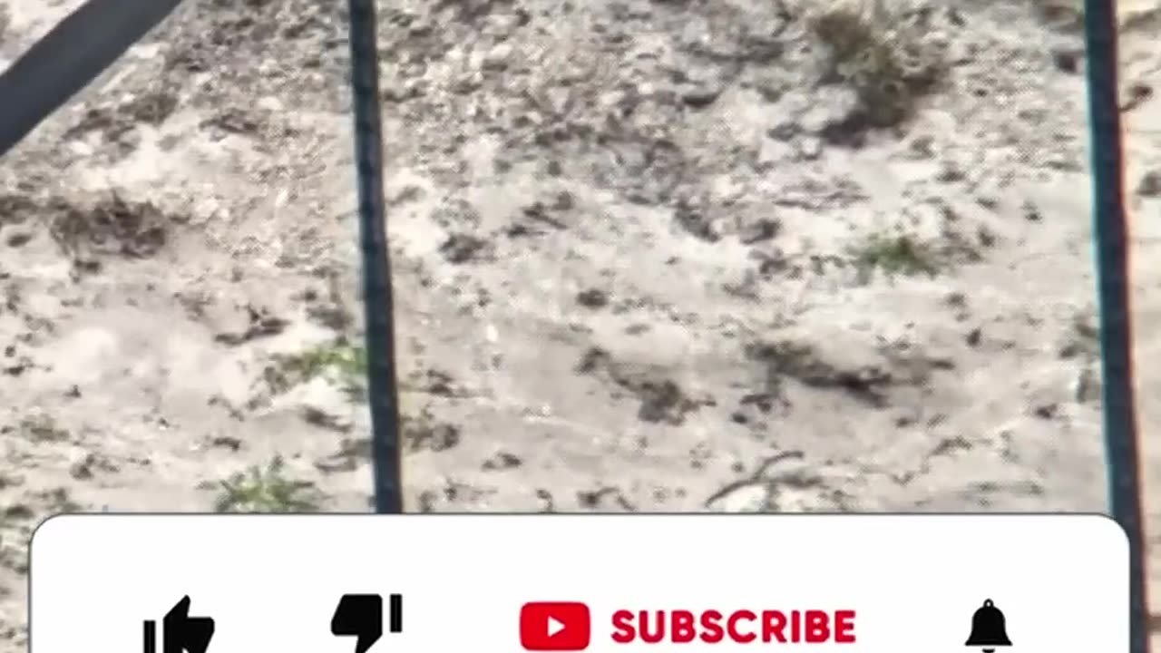 Long Range Shooting in Slow Motion - Bullet Trace 300-615 Yards