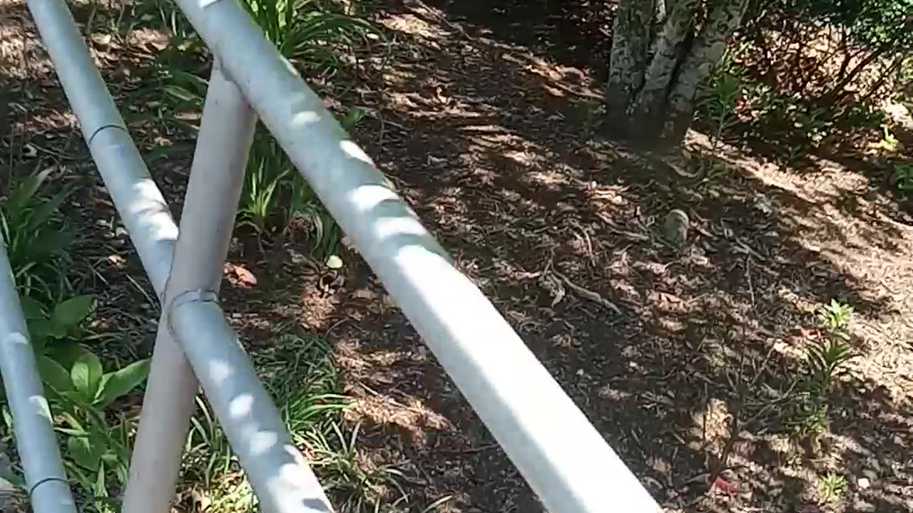 Taking that walk again