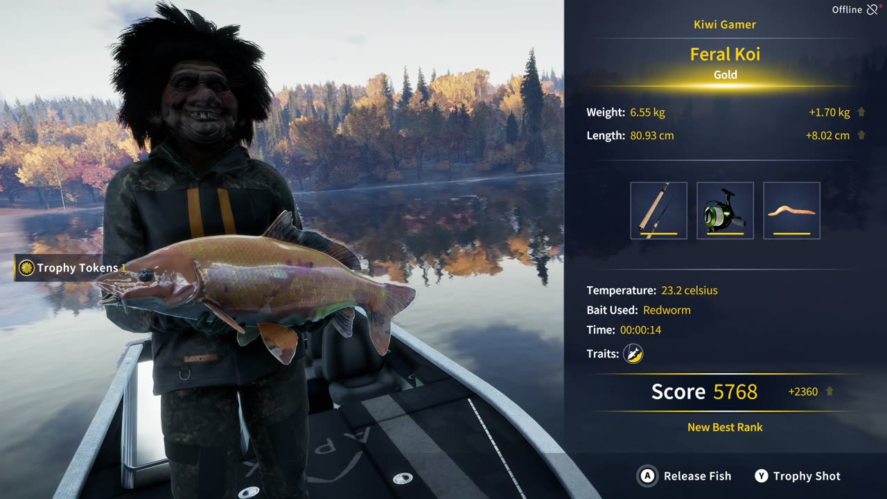 Feral Koi Fish Quest Kamuibetsu Reserve COTW The Angler