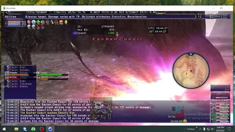 Playing Final Fantasy XI Online