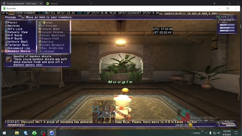 Playing Final Fantasy XI Online