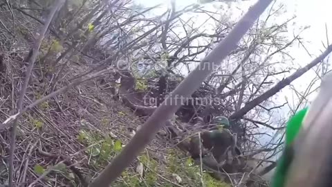 The pig was eating olives