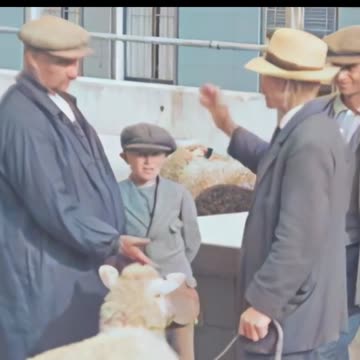 Historic footage of 1928 🐄 Leeuwarden Livestock Market 🇳🇱 Daily scenes of Dutch cattle trade 🐂