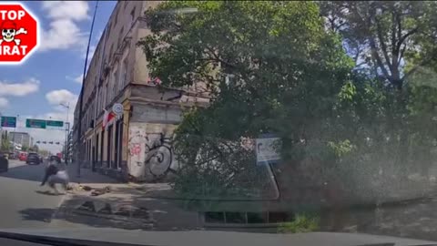 Owieczki drogowe - żli hulajnogiści