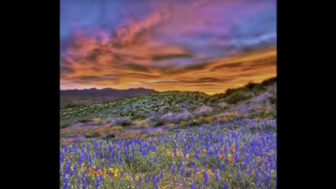 Dr.Leonard Coldwell-Cancer and more health issues