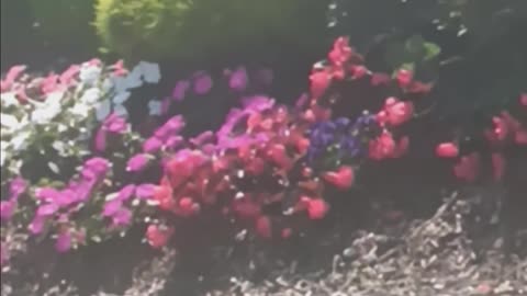 Spring colors.