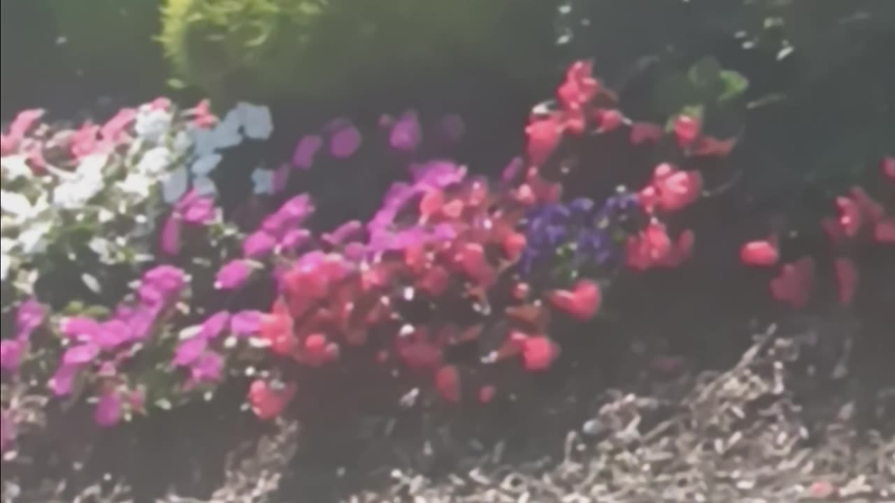 Spring colors.