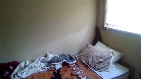 Smokeys Room