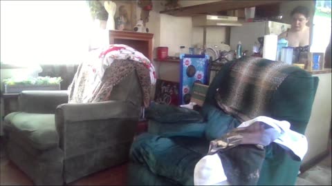 Smokeys Room