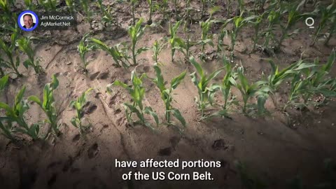 US Farmers Exceed Planting Forecasts | Presented by CME Group