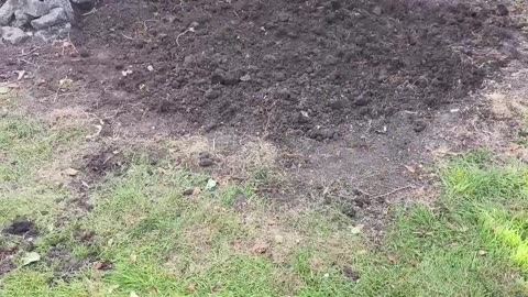 Don't Be Afraid to Admit Mistakes in Gardening