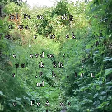 Mastery and Resilience | Path and Tarot Reading