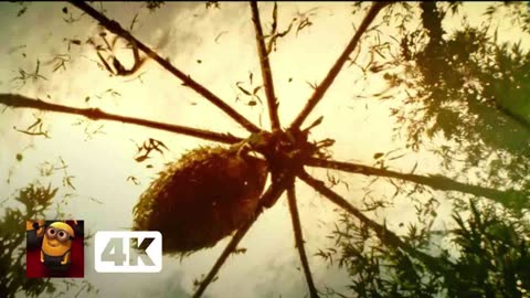 Kong- Skull Island (2017) 4K - Giant Spider Ambush Scene _ Movieclips