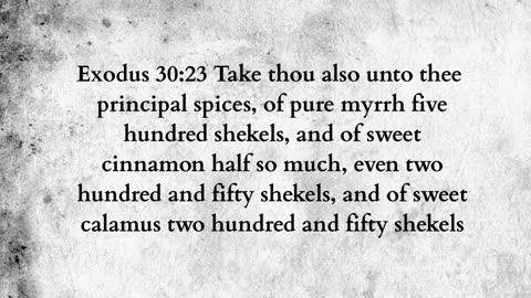 Martus Ministry -407- Made rich