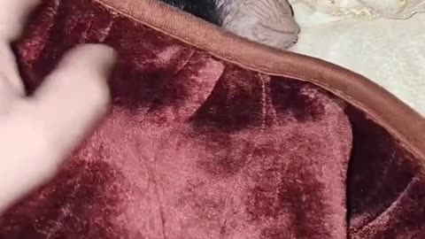 "5 more minutes...I SAID 5 MORE MINUTES" ahh