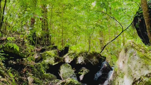 Little waterfall