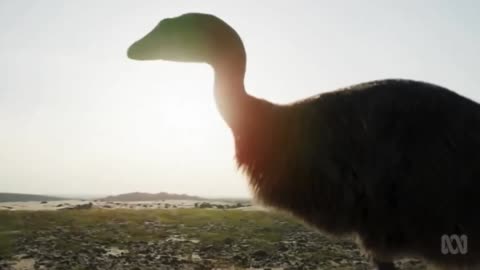 Prehistoric Ancient Animal Facts To Fall Asleep part 5