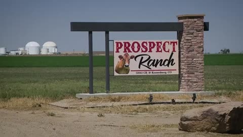 6 dead after ‘dairy accident’ in Weld County, including high school student: Officials
