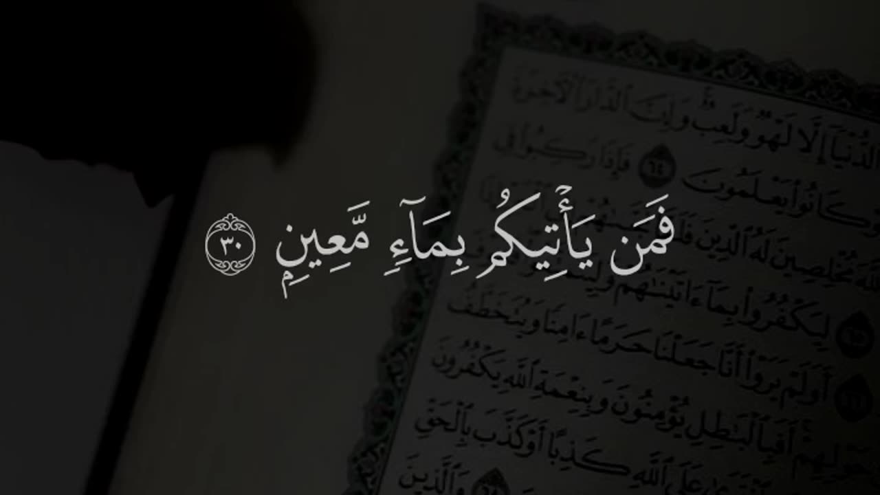 #quran #قران #قران_كريم