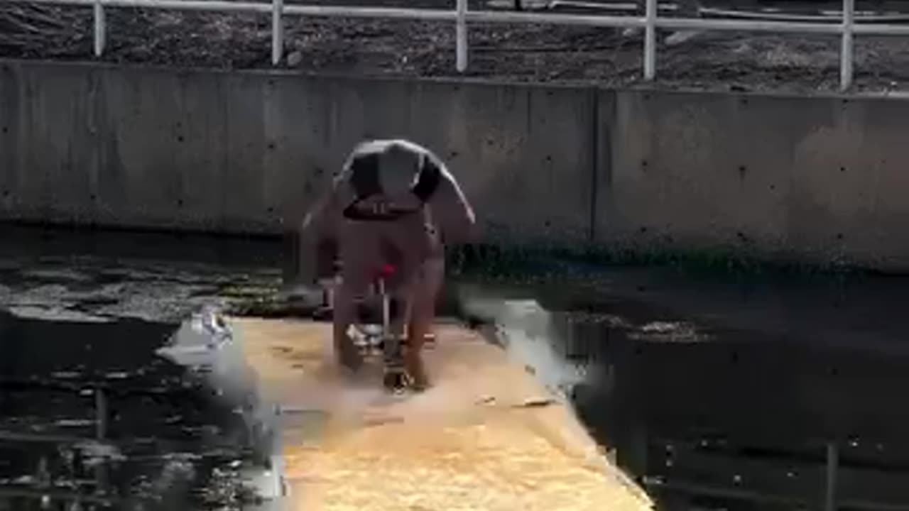 😂🎥 This Cameraman's Skills Are INSANE! | FunFM