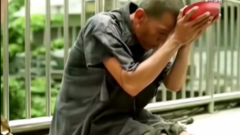 funny videos