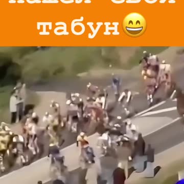 Да откриеш своето стадо