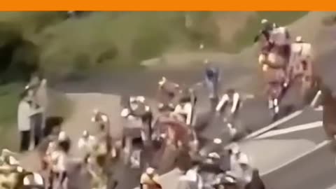 Да откриеш своето стадо