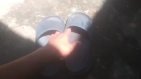 my sandals