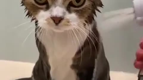 There will be war!