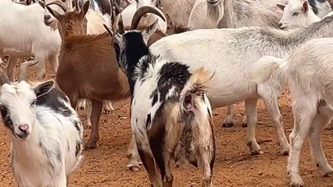 We all know why we're here!!!