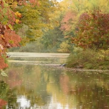 😊 16 LA PAZ ES EL CANAL DE LA MANIFESTACIÓN Filipenses 4:7 😊