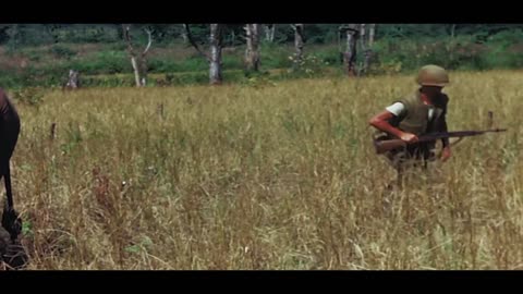 Vietnam, Ground, Water, Land. Freebird