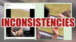 Fact Check: Video Of Hyena Biting Woman's Hand Through Open Car Window Is NOT Real -- AI Made It
