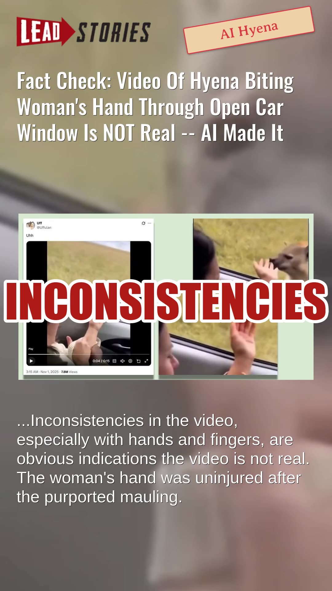 Fact Check: Video Of Hyena Biting Womans Hand Through Open Car Window Is NOT Real -- AI Made It