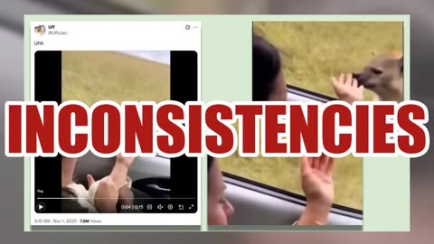 Fact Check: Video Of Hyena Biting Woman's Hand Through Open Car Window Is NOT Real -- AI Made It