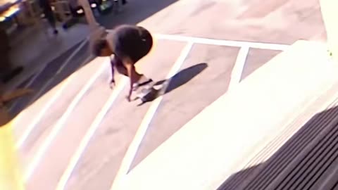 👟🔥 Ishod Wair Stunting in New Air Max Ishods! | SkateNation