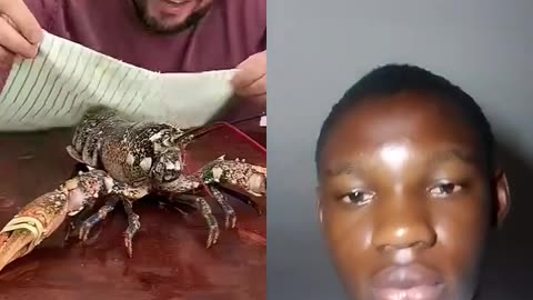 Cooking a live lobster