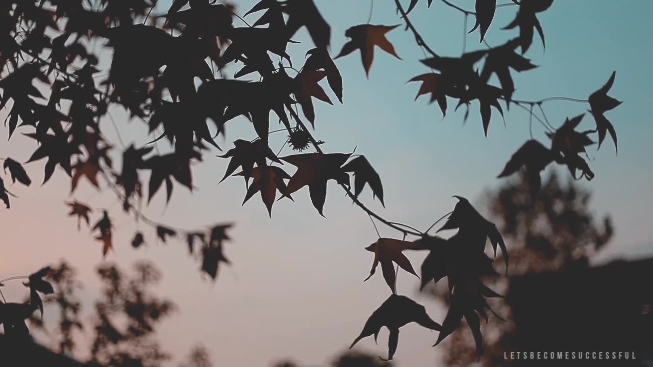 5 Rules to Follow in Life | Simon Sinek’s Ultimate Motivational Video