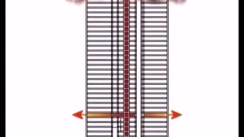 9/11 Squibs: Evidence of Demolition?