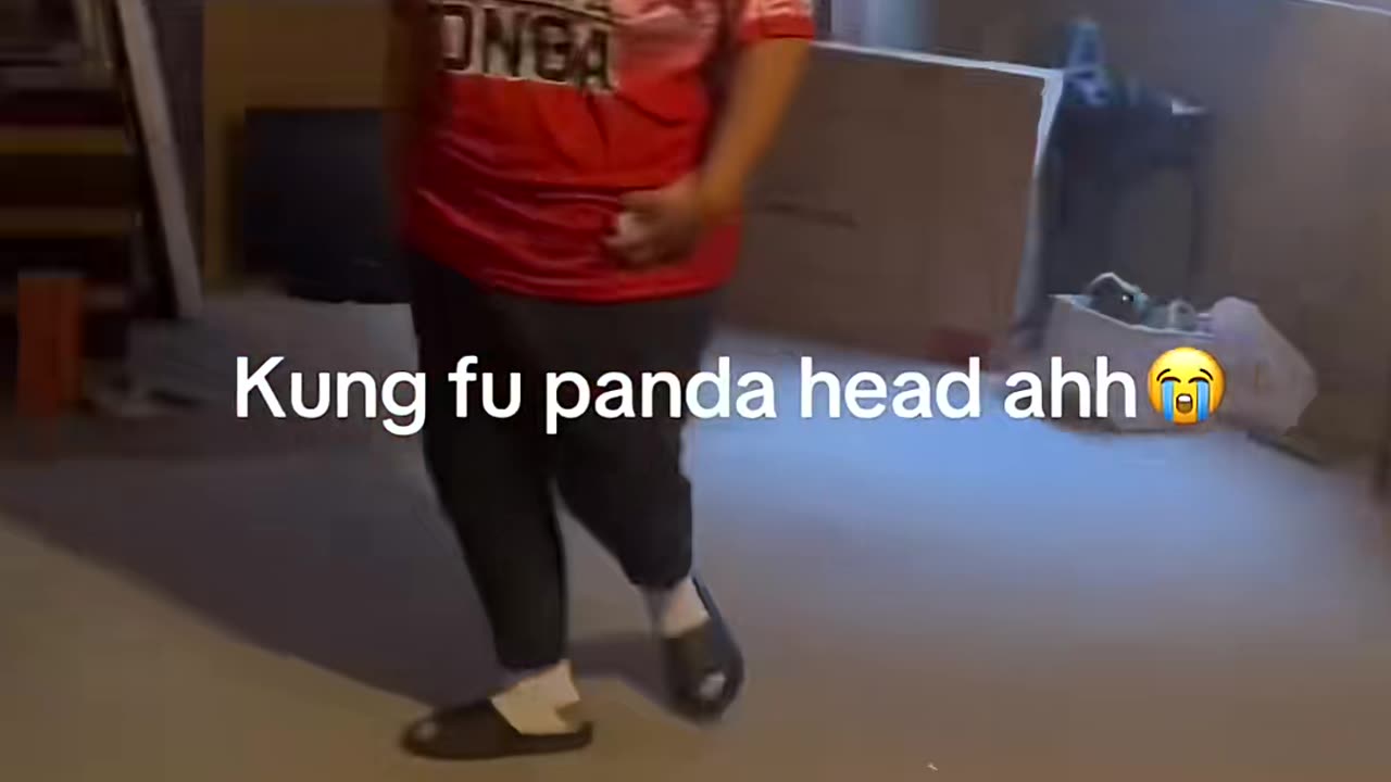 Ku Fu Panda 😂 @Spinnin Backfist (via:@Frederick