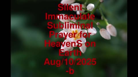 Silent Immaculate Subliminal Prayer for HeavenS on Earth Aug-10-2025-b